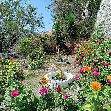 Mavrikou Helen Apartments İskiri Dış mekan fotoğraf