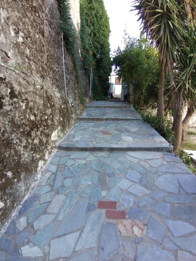 Mavrikou Helen Apartments İskiri Dış mekan fotoğraf