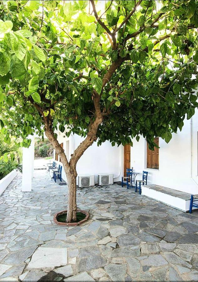 Mavrikou Helen Apartments İskiri Dış mekan fotoğraf