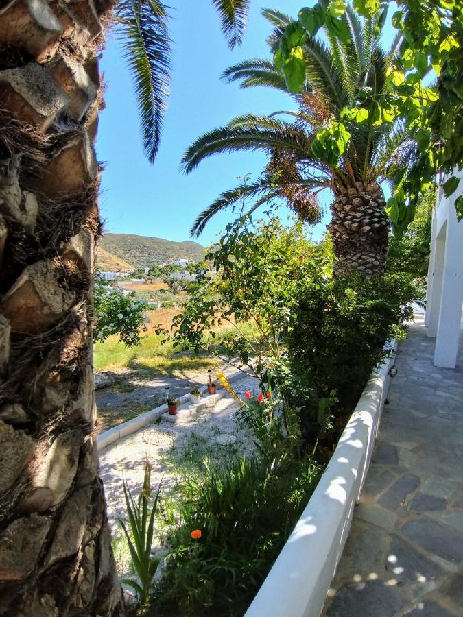Mavrikou Helen Apartments İskiri Dış mekan fotoğraf