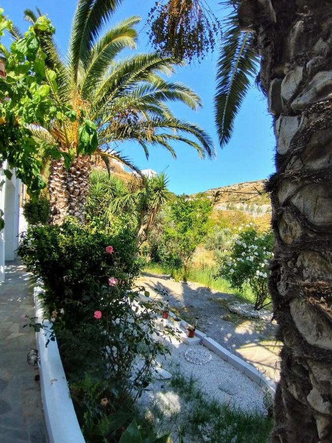 Mavrikou Helen Apartments İskiri Dış mekan fotoğraf