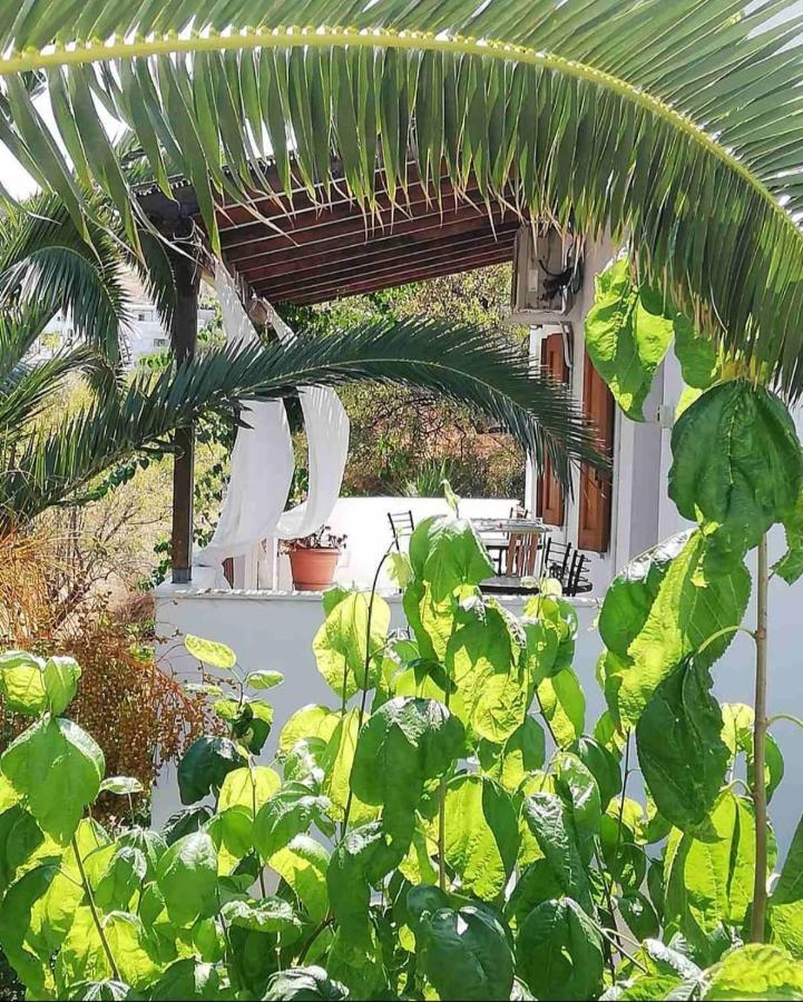 Mavrikou Helen Apartments İskiri Dış mekan fotoğraf