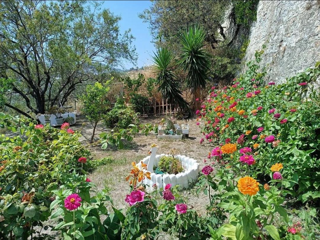 Mavrikou Helen Apartments İskiri Dış mekan fotoğraf