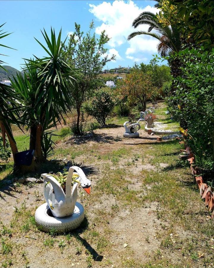 Mavrikou Helen Apartments İskiri Dış mekan fotoğraf