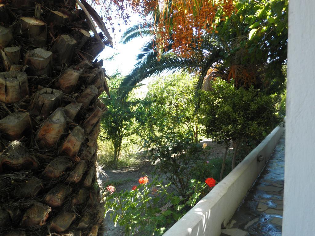 Mavrikou Helen Apartments İskiri Oda fotoğraf